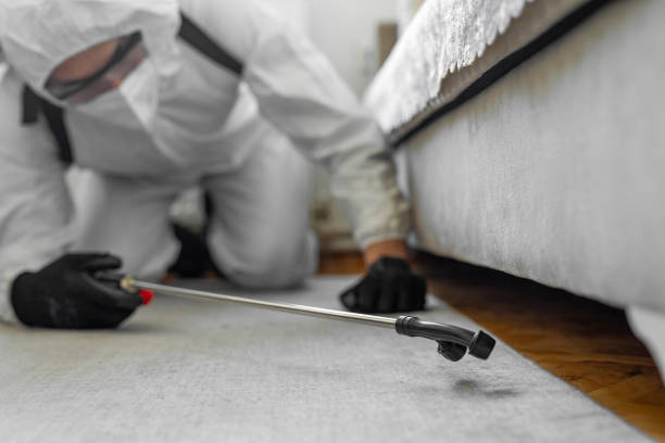 Professional Bed Bug Control technician working in Baxter Springs, KS
