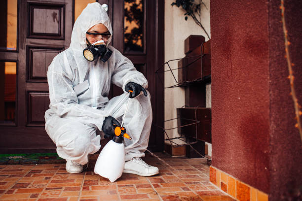 Reliable Bed Bug Control contractor in Baxter Springs, KS by Nex Pest Control
